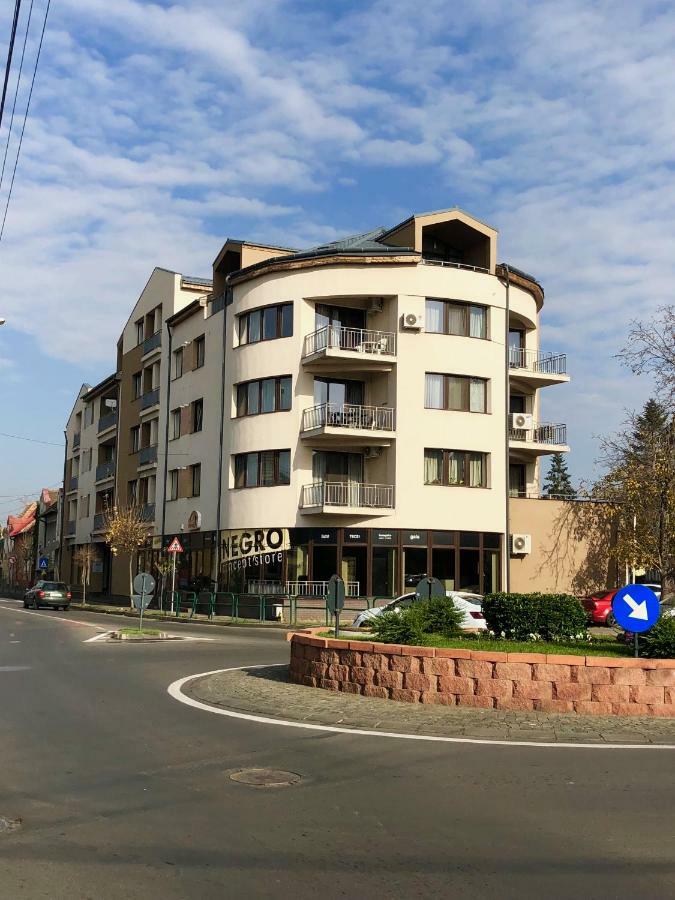 Central Apartments Târgu-Mureş Zewnętrze zdjęcie